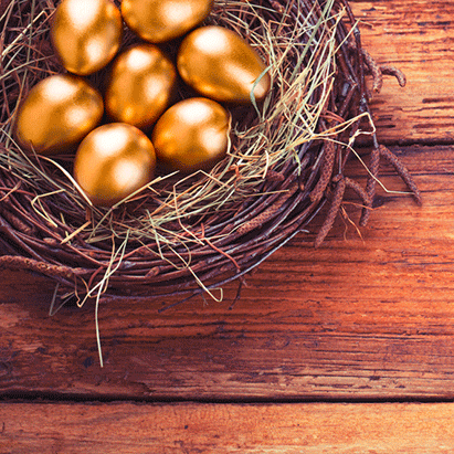 Establish Self-Directed Individual Retirement Accounts investing in precious metals